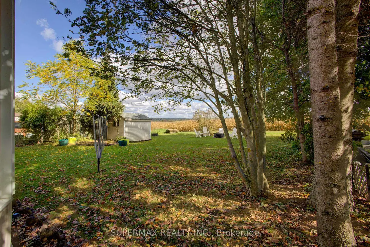 Additional image 17 of 302694 Douglas Street 50