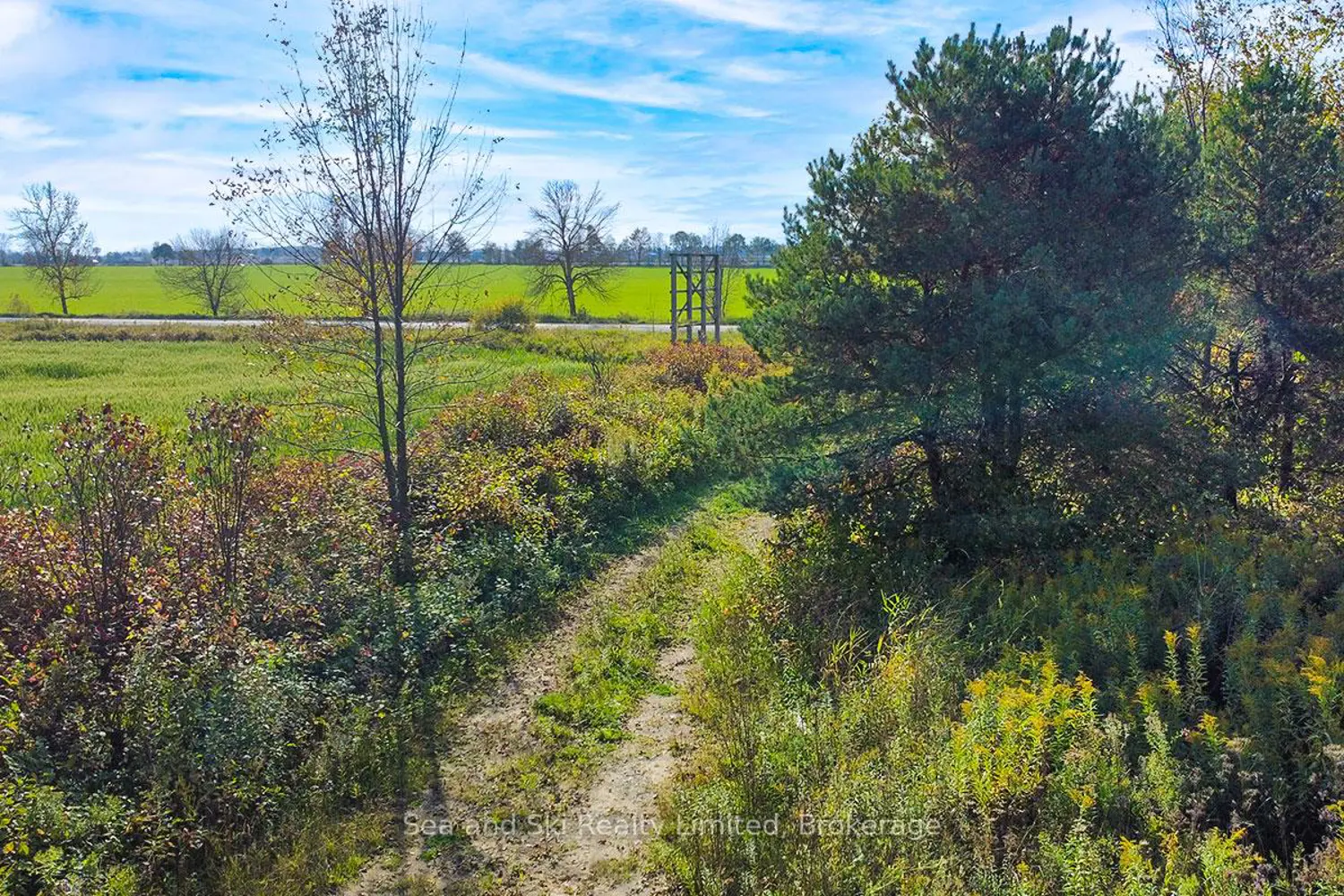 Additional image 10 of 31313 Grey Road 14 Road