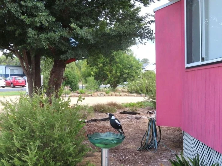 Additional image 31 of 46 Tenterfield Street, Wallangarra QLD 4383