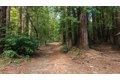 Additional image 34 of 1000 Harmon Gulch Rd, Boulder Creek, CA, 95006