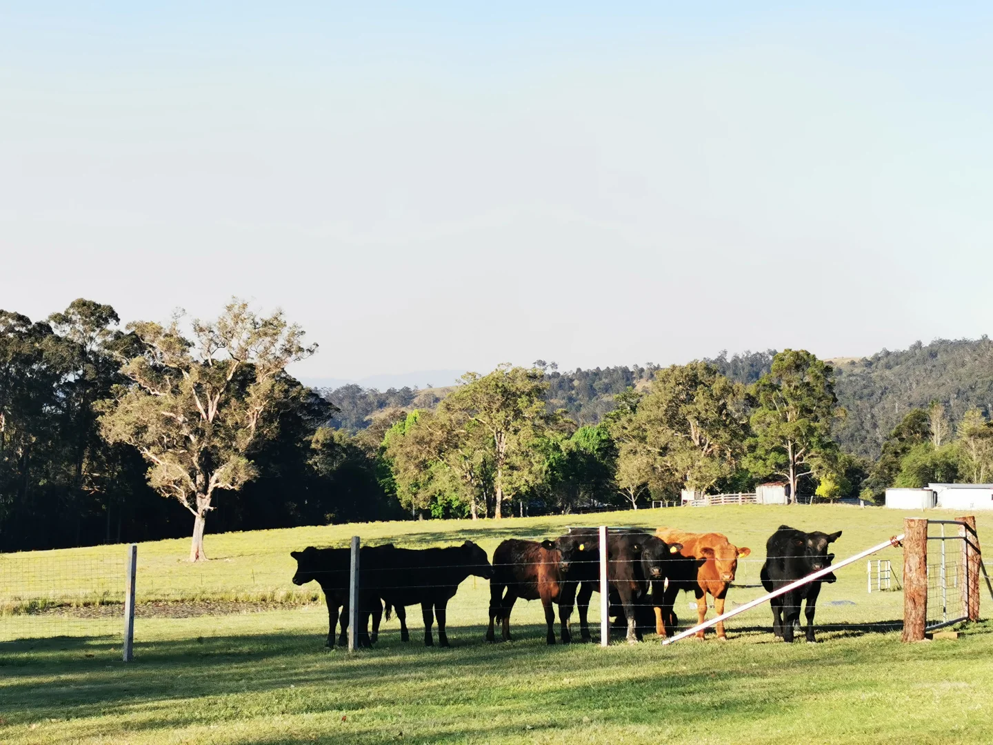 Additional image 29 of 5611 Oxley Highway, Ellenborough NSW 2446