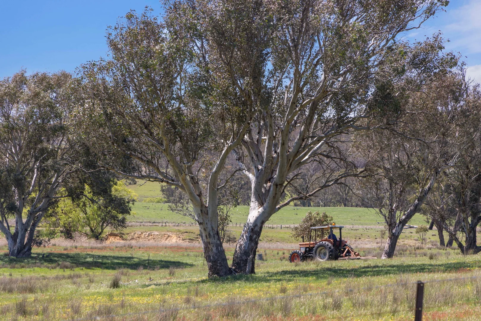 Additional image 5 of "Wattle Grove "1649 Coolalie Road, Yass NSW 2582