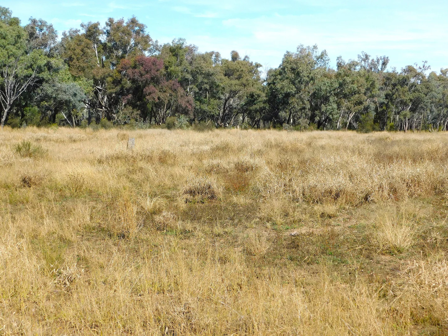 Additional image 19 of 0 Old Cunnamulla Road, Charleville QLD 4470