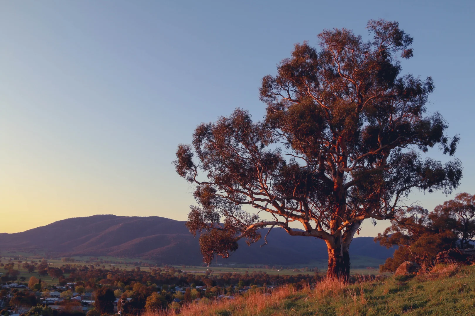 Additional image 9 of 25 Jephcott Avenue, Corryong VIC 3707