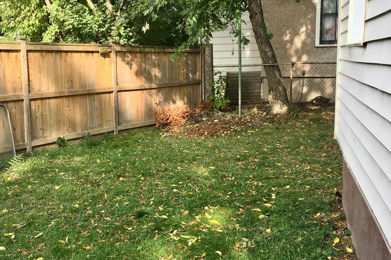 Additional image 11 of 163 Welland Avenue