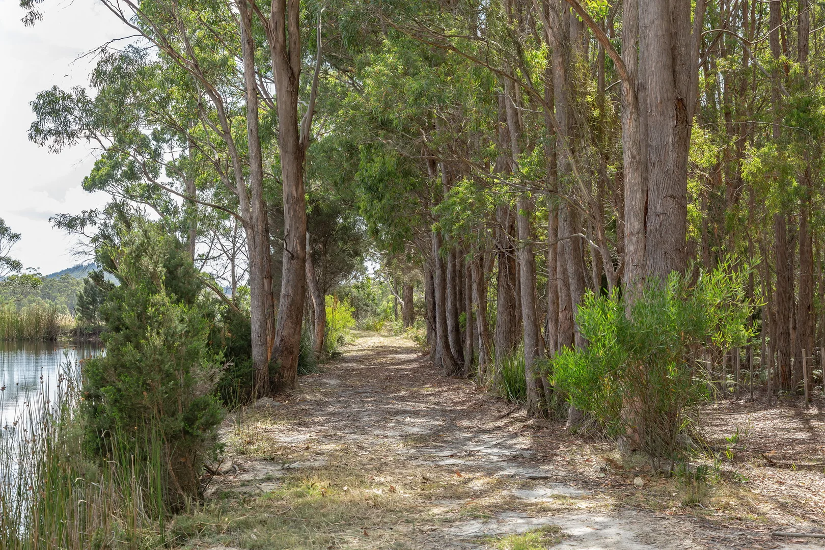 Additional image 22 of 124 Glengarry Drive, Glengarry TAS 7275