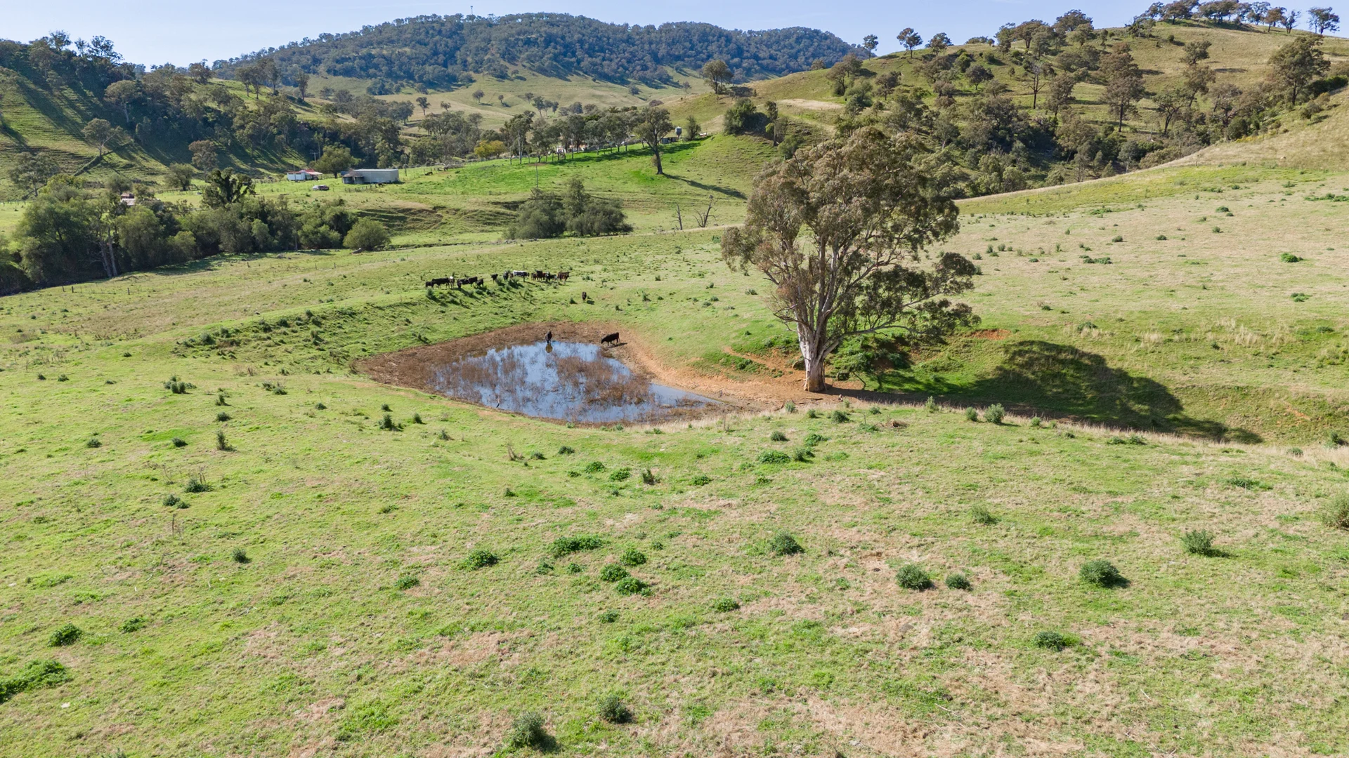 Additional image 3 of 180 Stoney Creek Rd, Rouchel via, Aberdeen NSW 2336