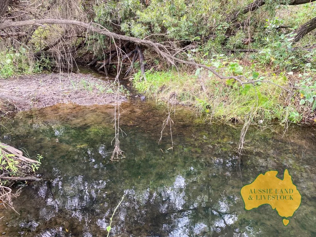 Additional image 9 of 59 MUNGY ROAD, Mungy QLD 4671