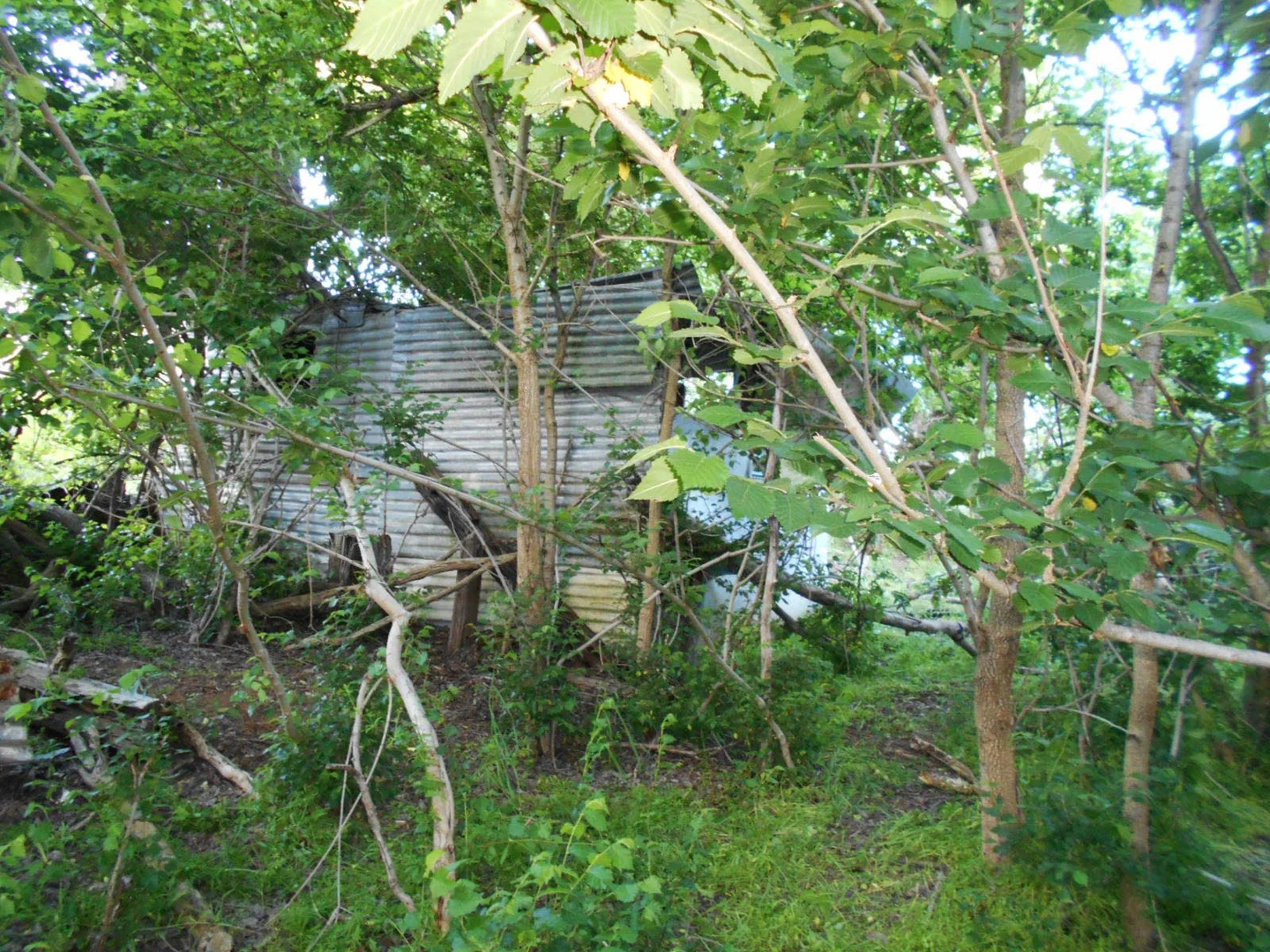 Additional image 13 of 30 Hanley & Moon Street, Gundagai NSW 2722