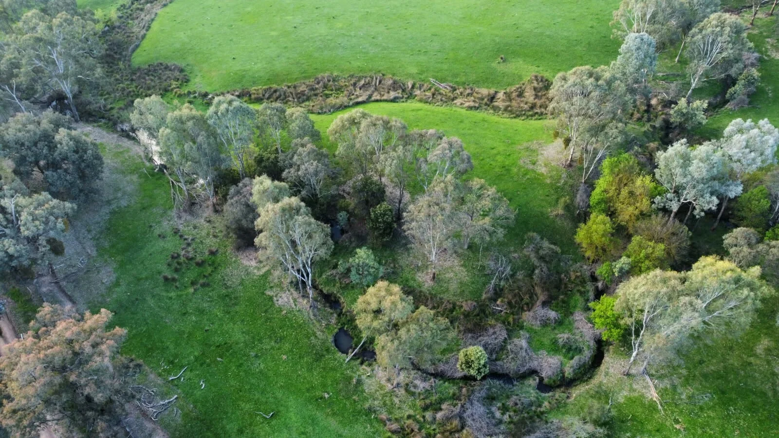 Additional image 3 of 409 McInnes Lane, Bobinawarrah VIC 3678