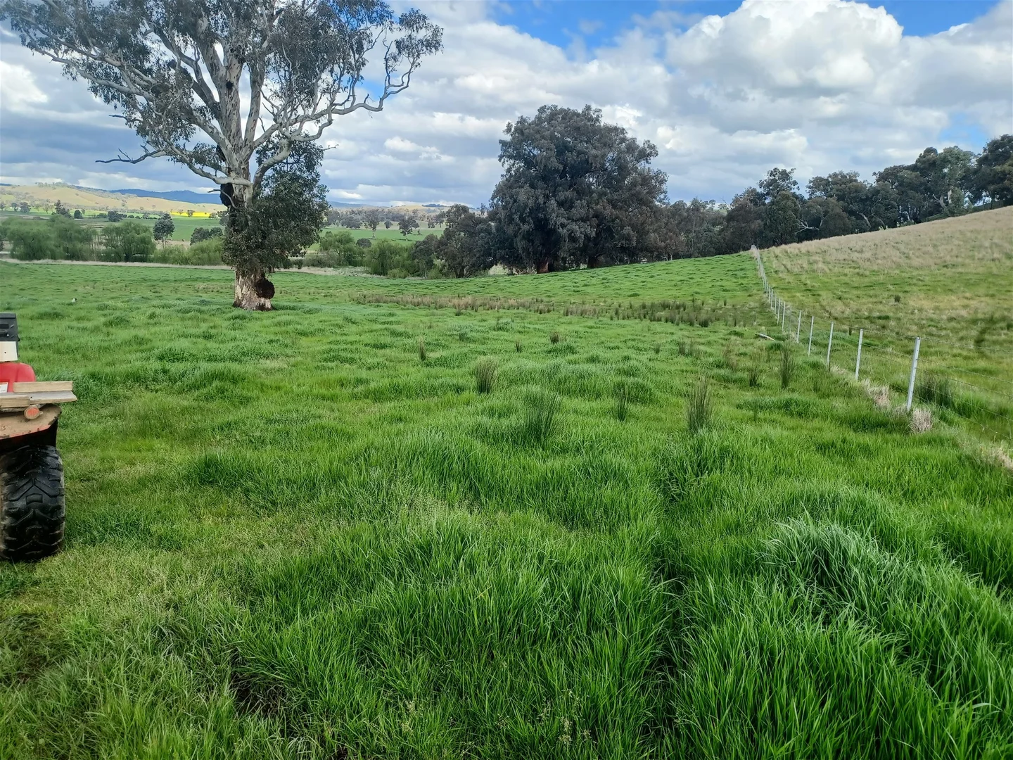 Additional image 34 of 3924 Hume Highway, Tarcutta NSW 2652