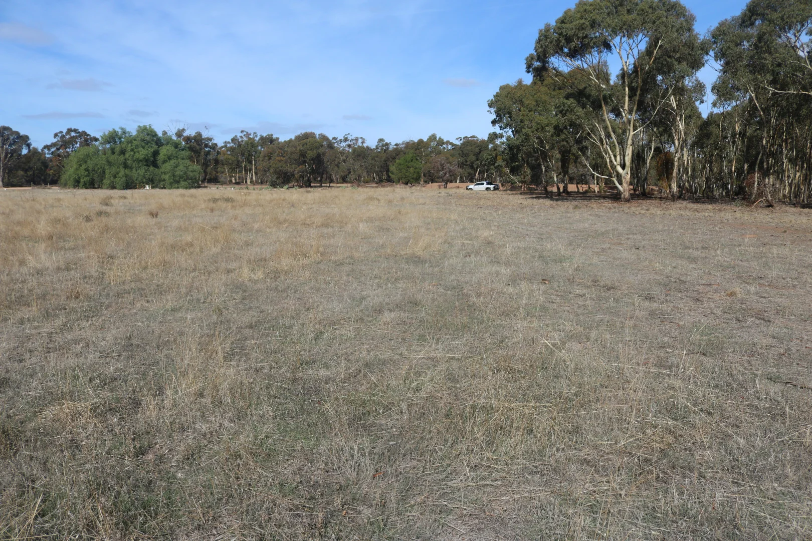 Additional image 24 of Old Boort Road, Wedderburn VIC 3518