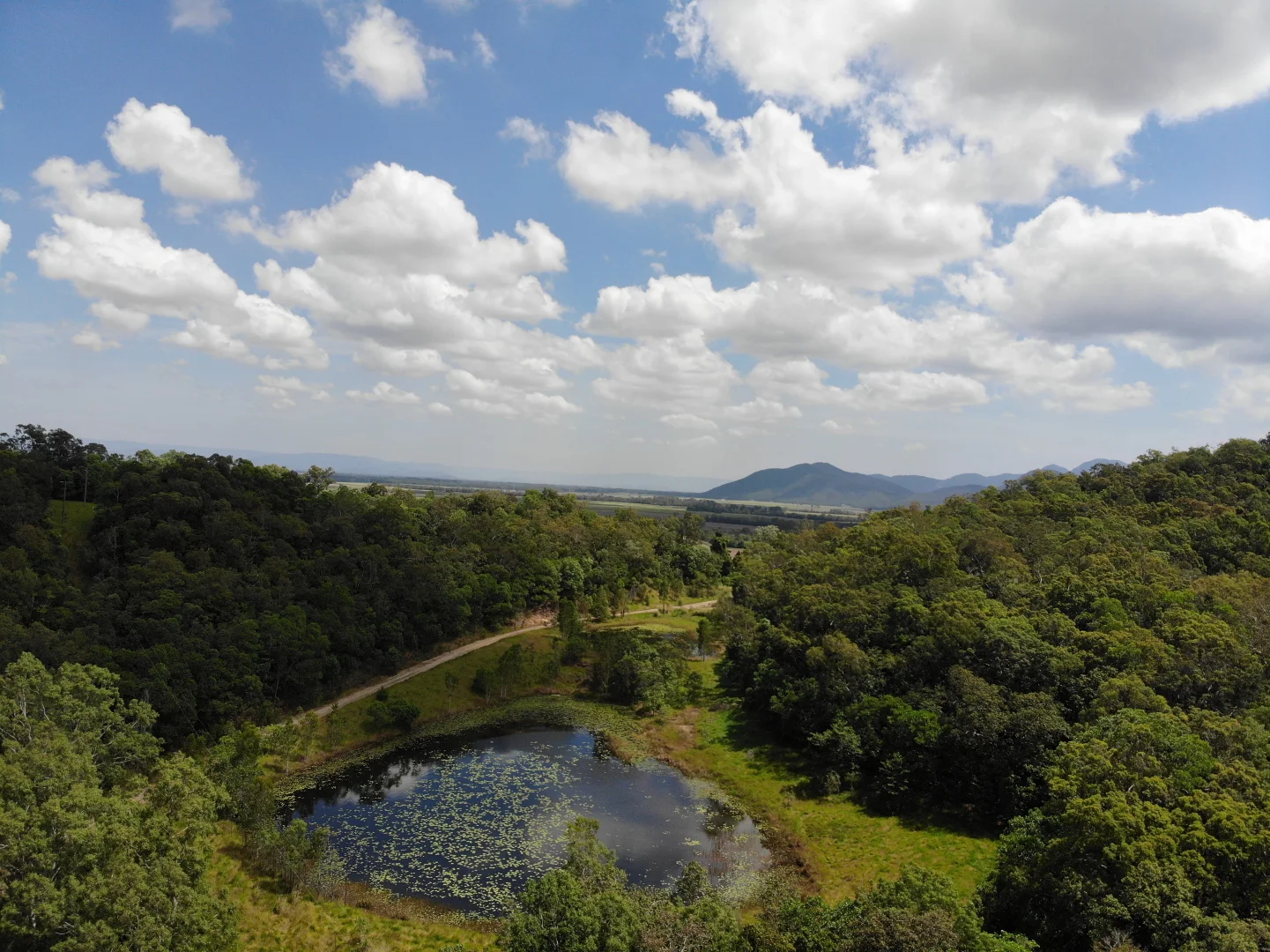 Additional image 12 of Lot 125 Mount Cudmore Road, Bemerside QLD 4850