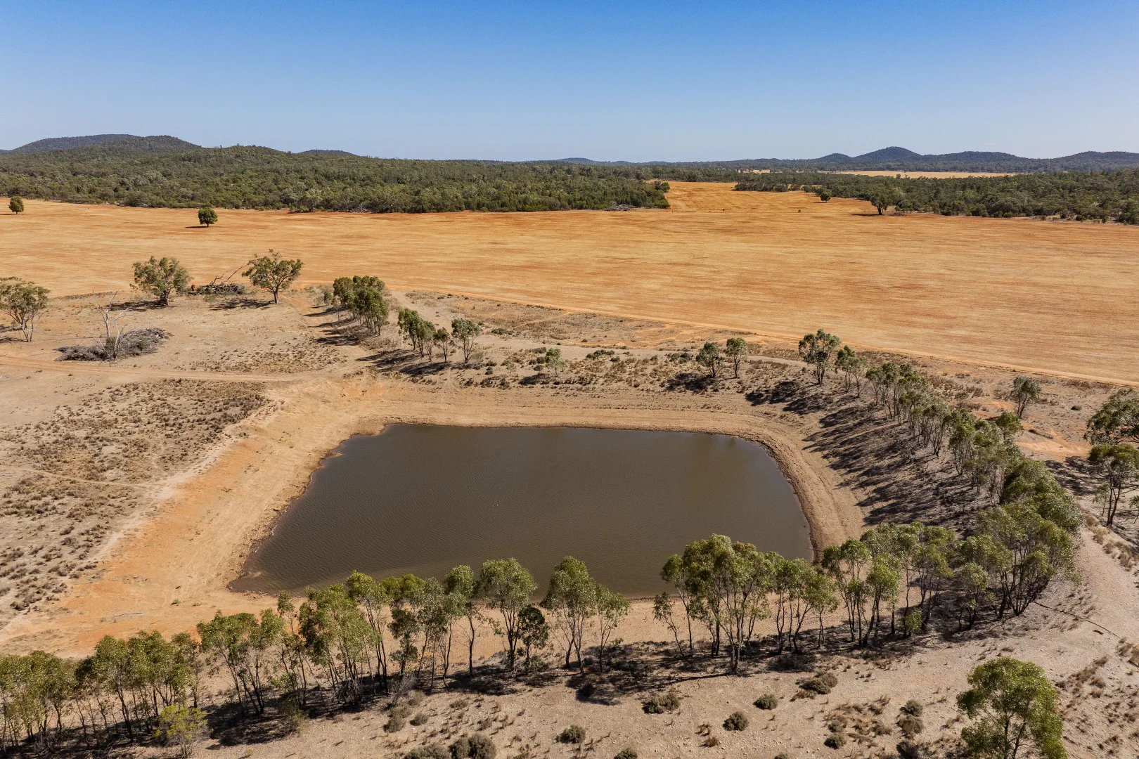 Additional image 16 of 2880 Tallebung Road, Condobolin NSW 2877