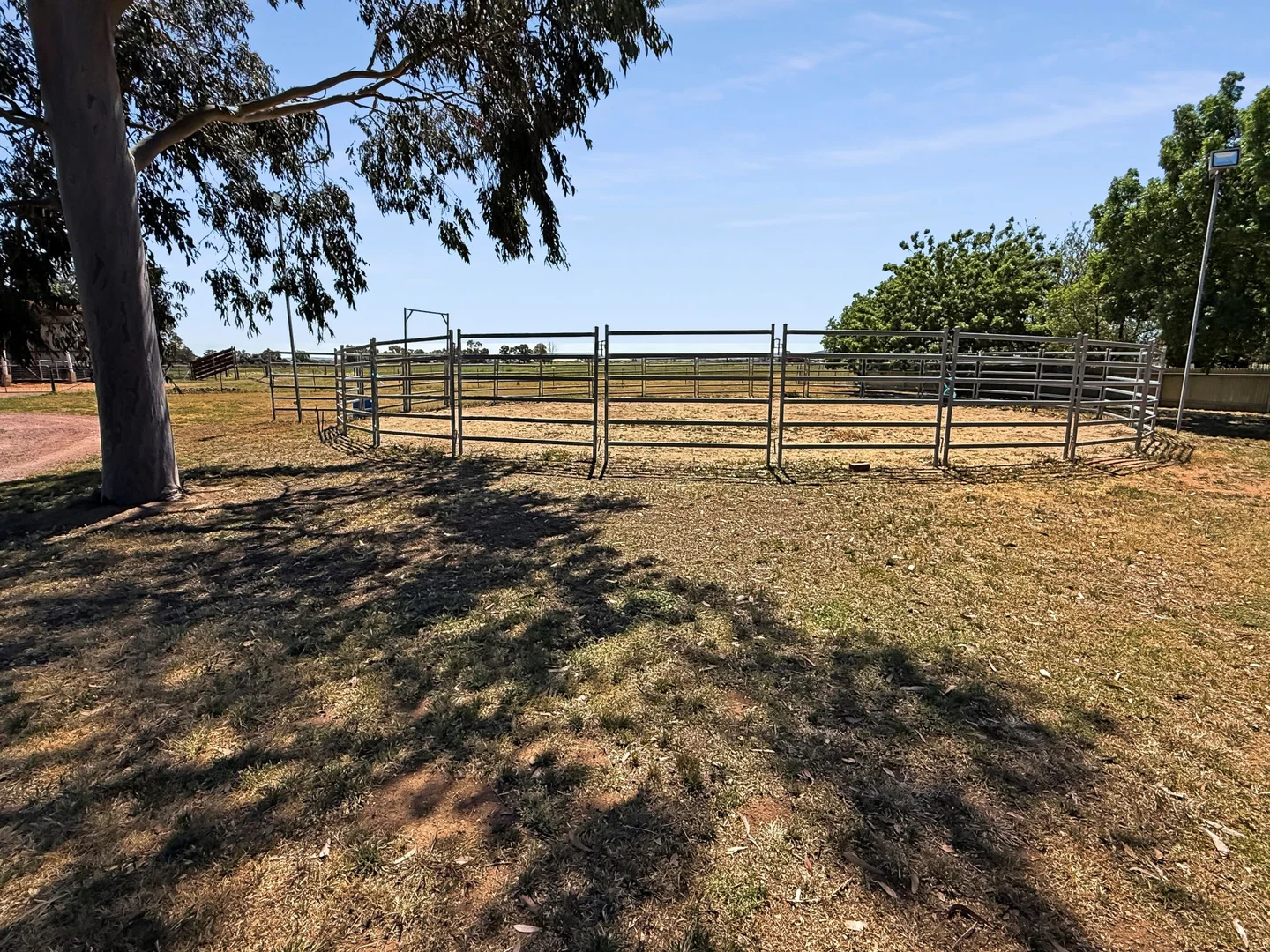 Additional image 16 of 115 Almond Road, Leeton NSW 2705