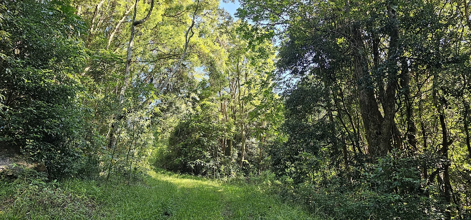 Additional image 11 of Dalwood NSW 2477