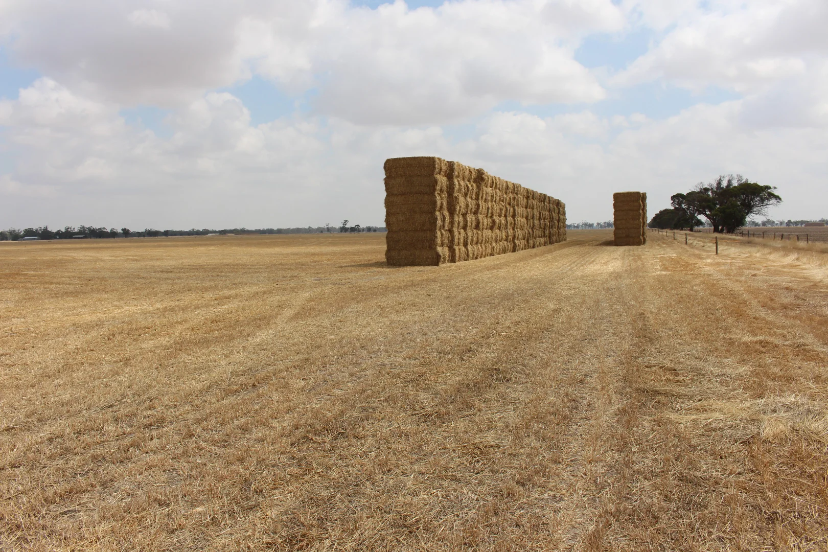 Additional image 4 of 1427 Naracoorte Road, Bordertown SA 5268