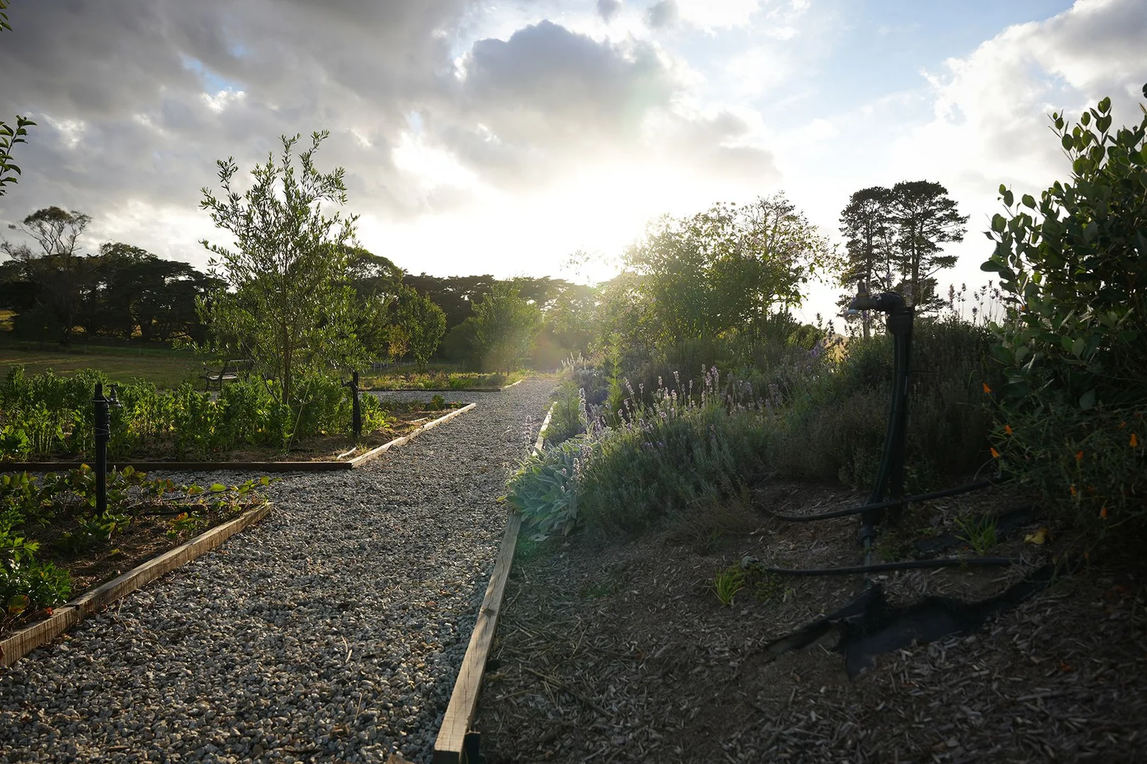 Additional image 3 of 171 Millers Lane, Tenterfield NSW 2372