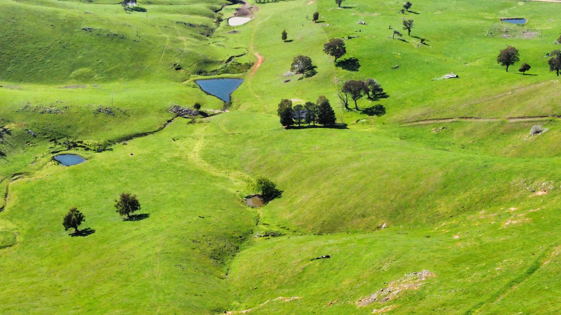 Additional image 6 of 5114 River Road, Jingellic NSW 2642