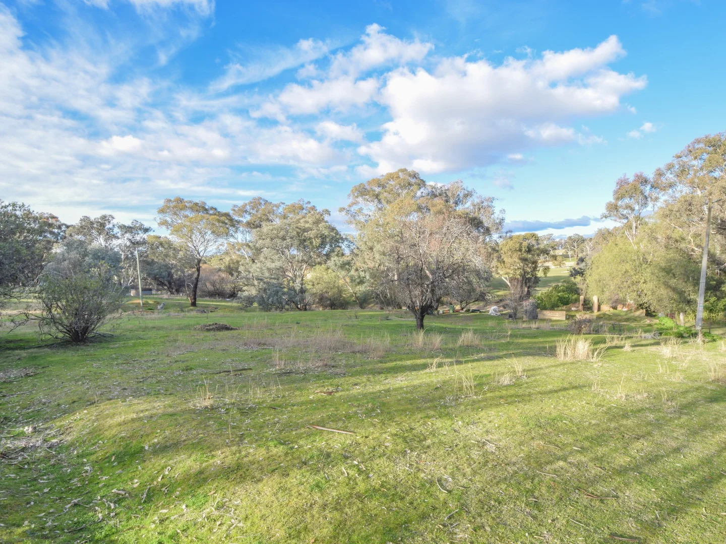 Additional image 5 of 21 Dairymans Lane, Young NSW 2594