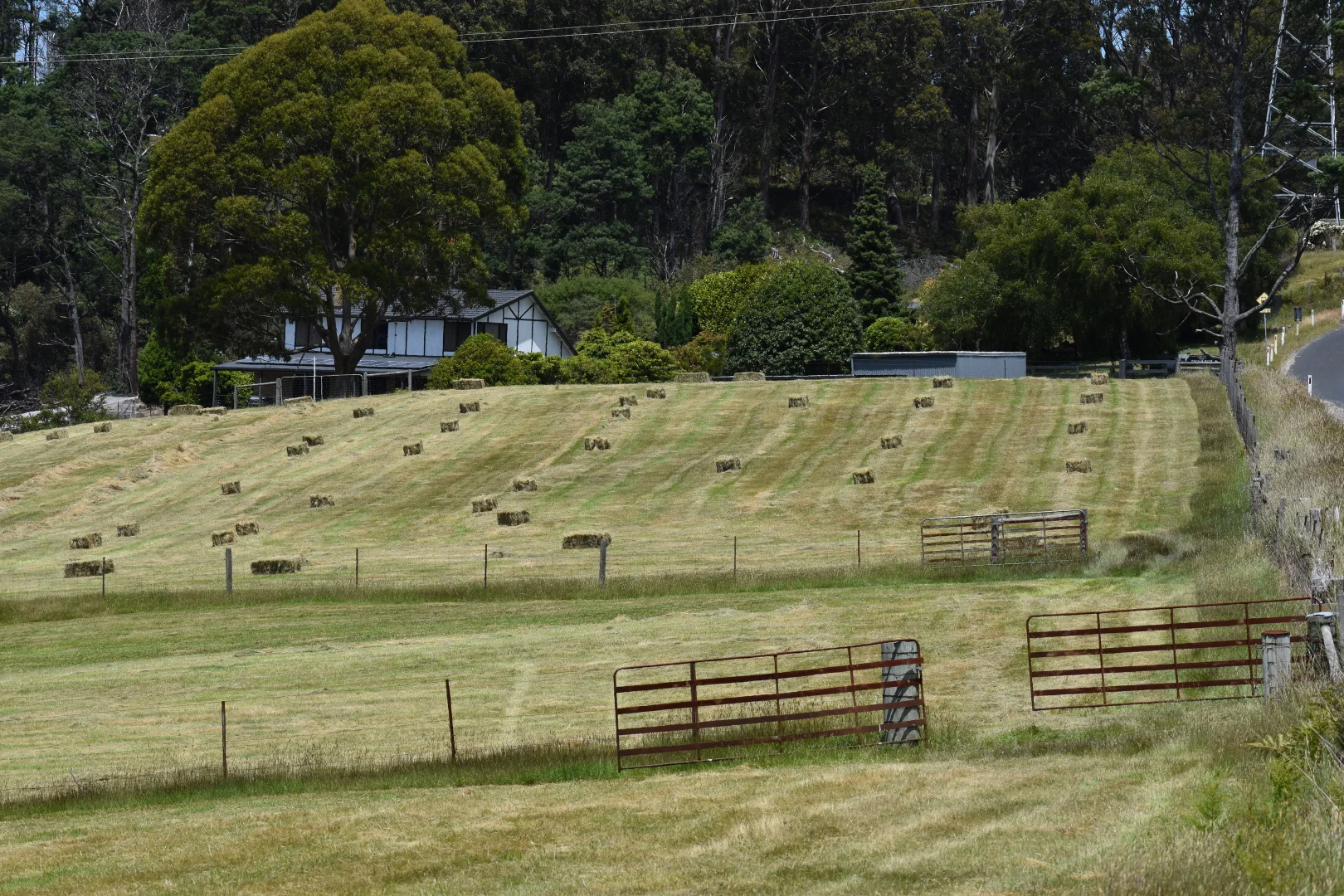 Additional image 3 of 1001 Holwell Road, Holwell TAS 7275