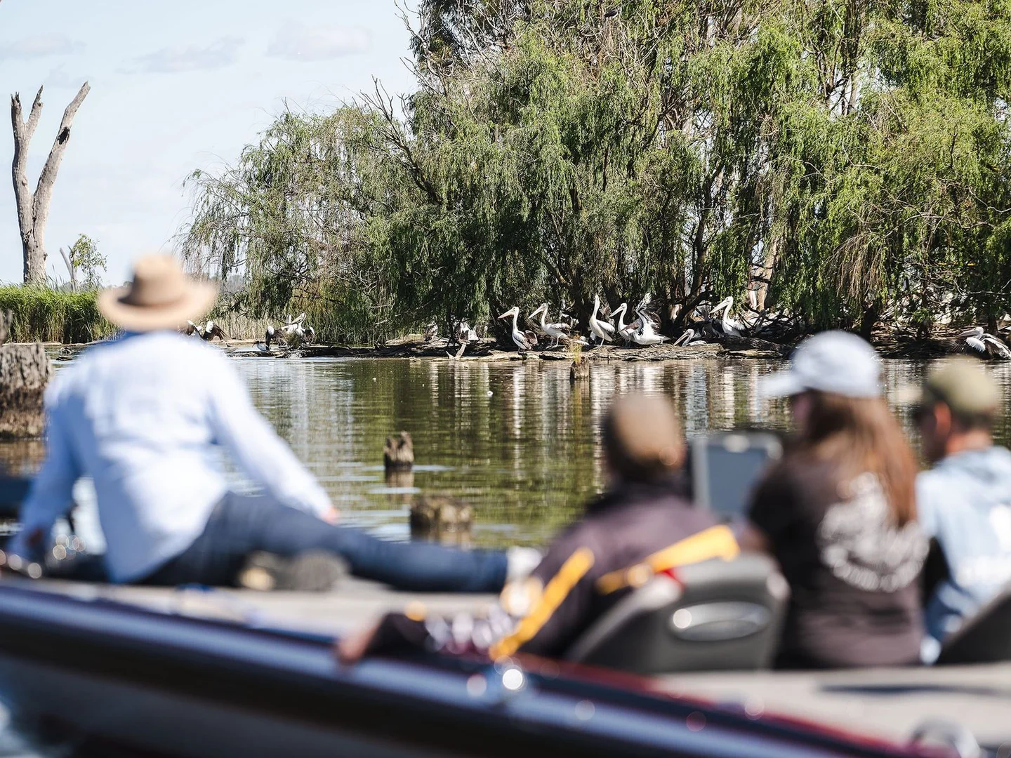 Additional image 10 of 4 Stressless Place, Bundalong VIC 3730