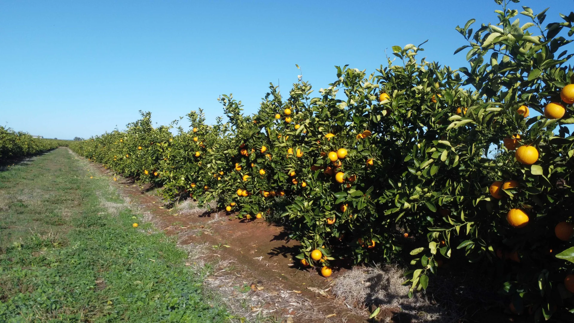 Additional image 11 of Nericon NSW 2680