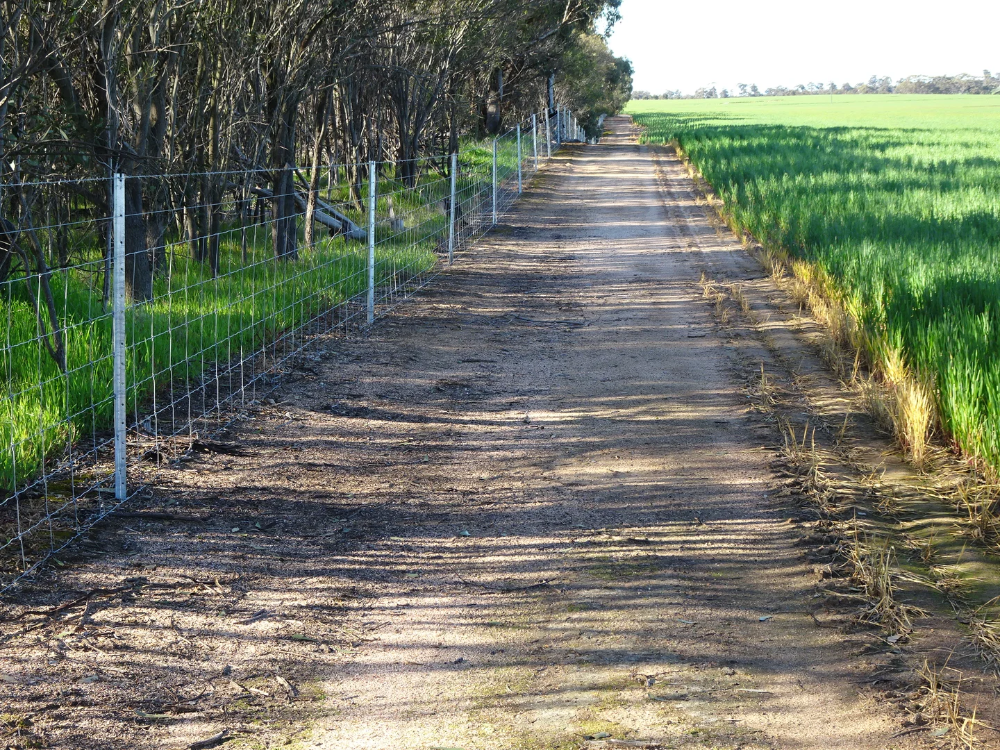 Additional image 16 of 140 Yenellin Road, Pingelly WA 6308