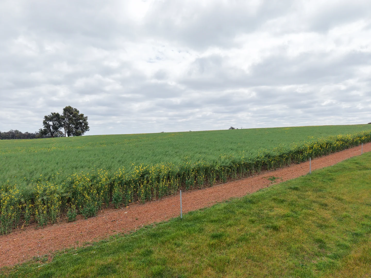 Additional image 23 of 495 Narlingup Road, Qualeup WA 6394