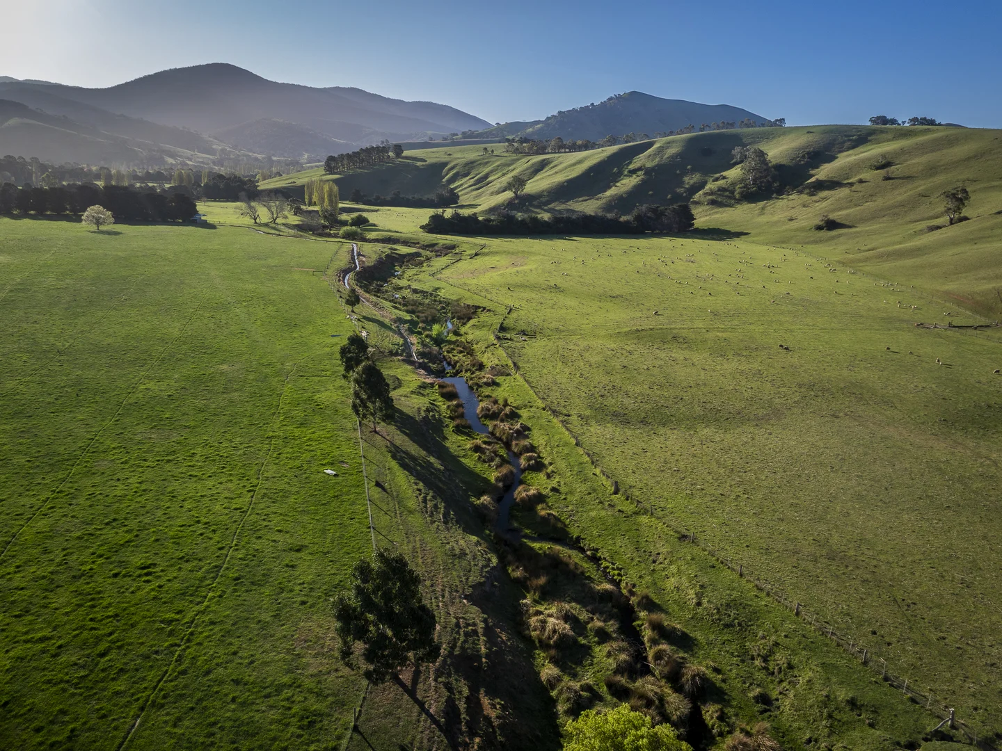Additional image 5 of 1578 Bindi Road, Bindi VIC 3896