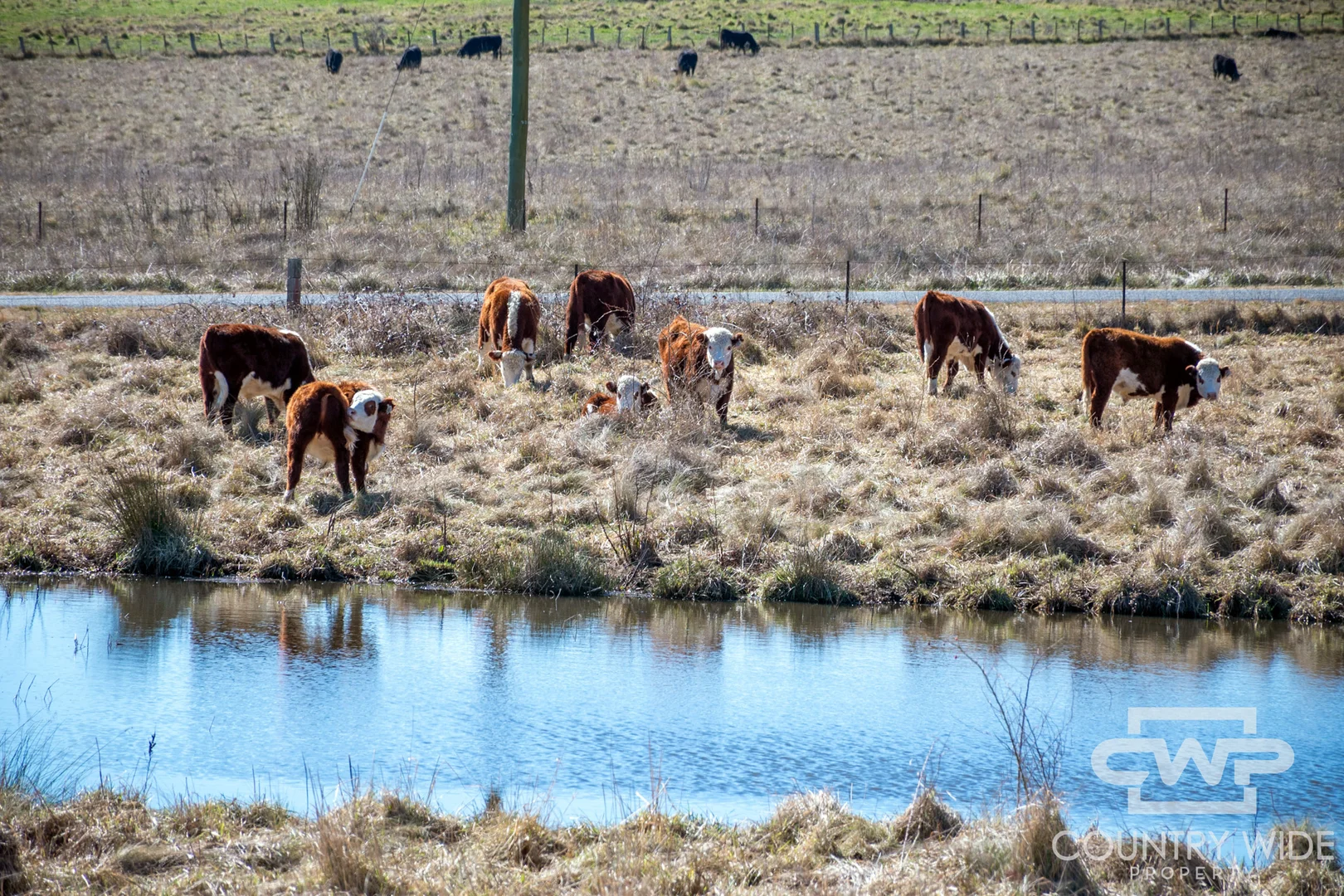 Additional image 29 of 646 Glen Legh Road, Glen Innes NSW 2370
