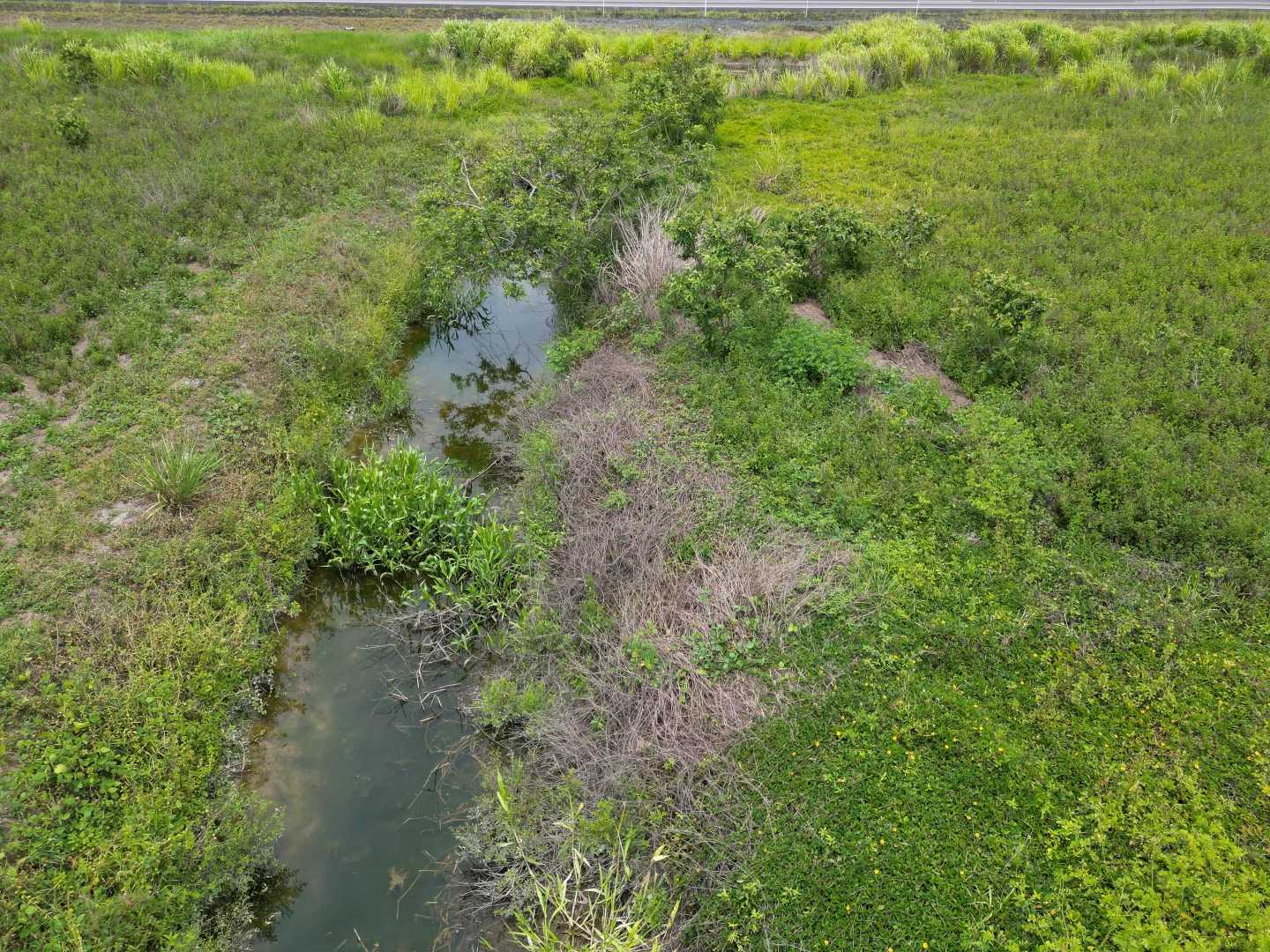 Additional image 15 of 155 Bruce Highway, Feluga QLD 4854