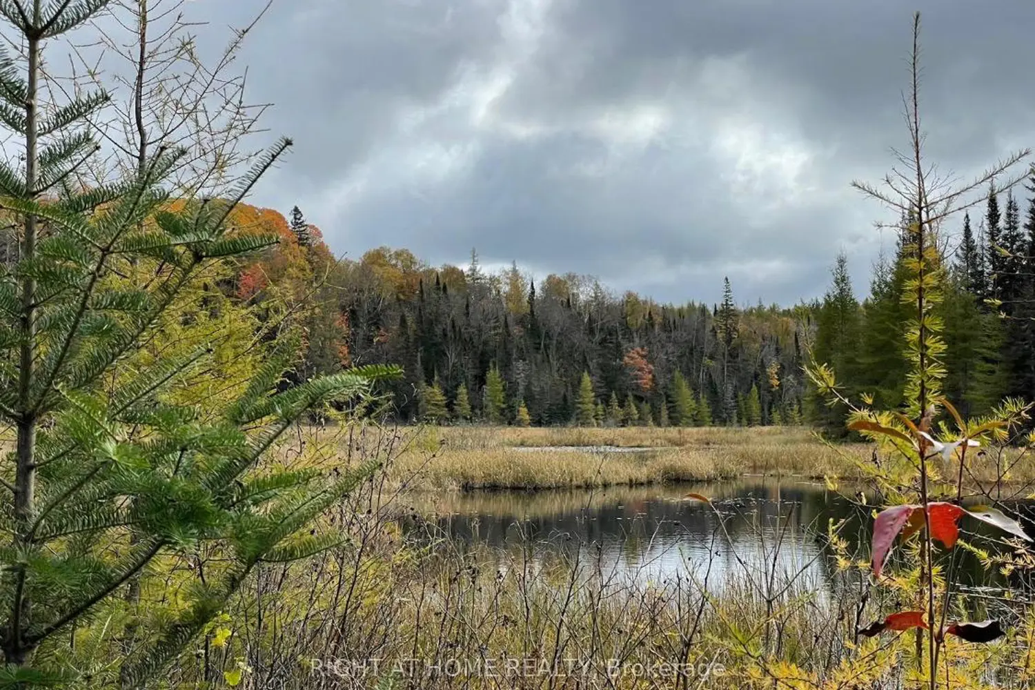 Additional image 7 of 2087 Machar Strong Boundry Road