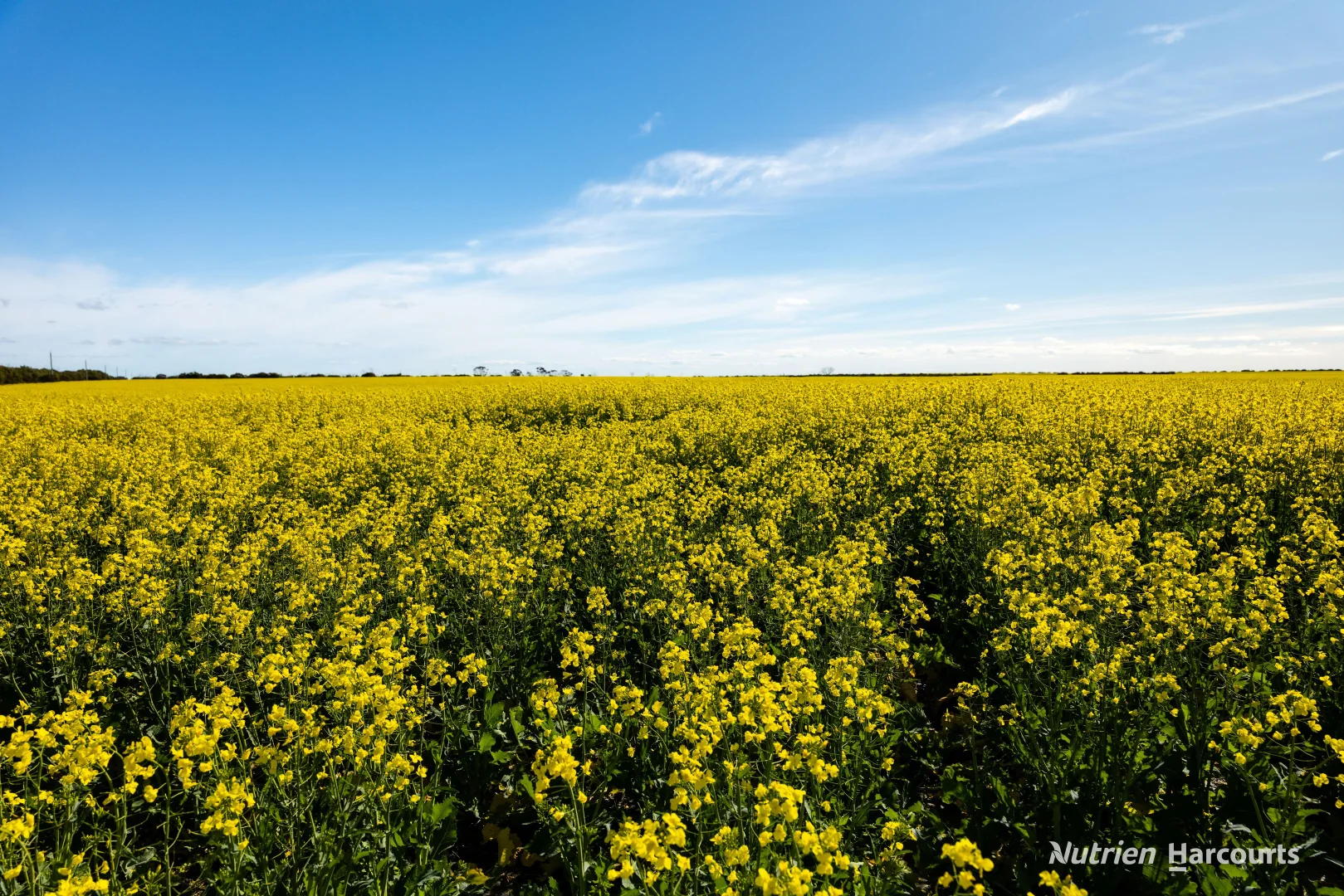 Additional image 2 of . Kendall Road, Scaddan WA 6447