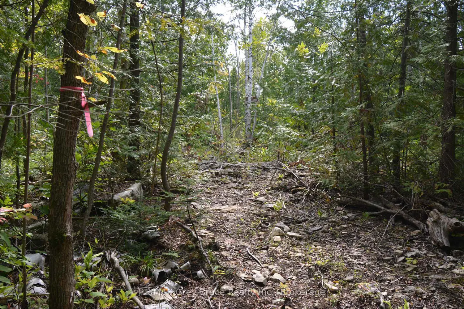 Additional image 12 of 41 Noble Drive