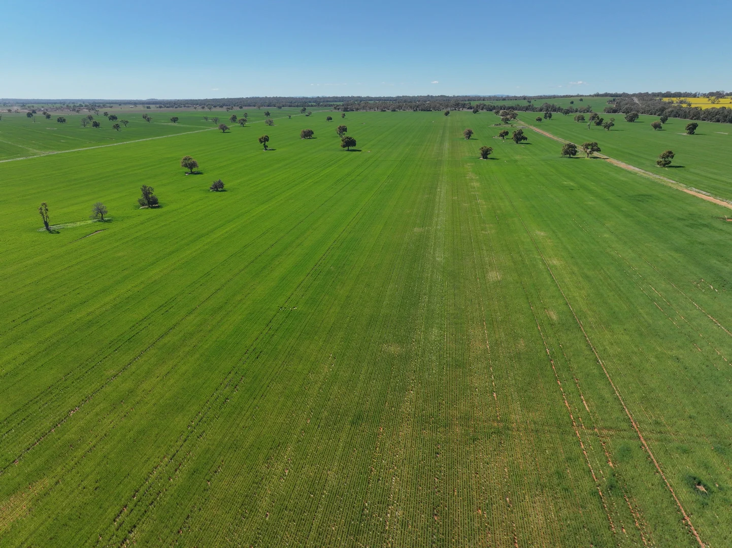 Additional image 4 of 2666 Henry Parkes Way, Gunningbland NSW 2876