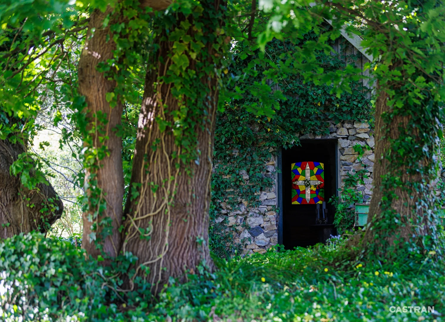 Additional image 28 of 125 Swansea Road, Montrose VIC 3765