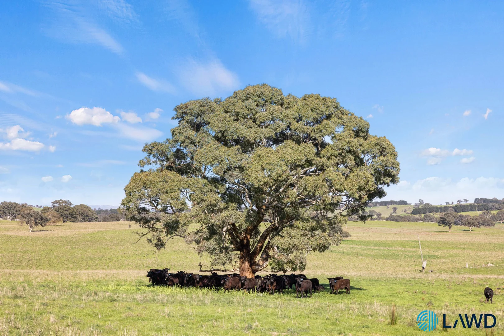 Additional image 5 of 1830 Wargeila Road, Yass NSW 2582