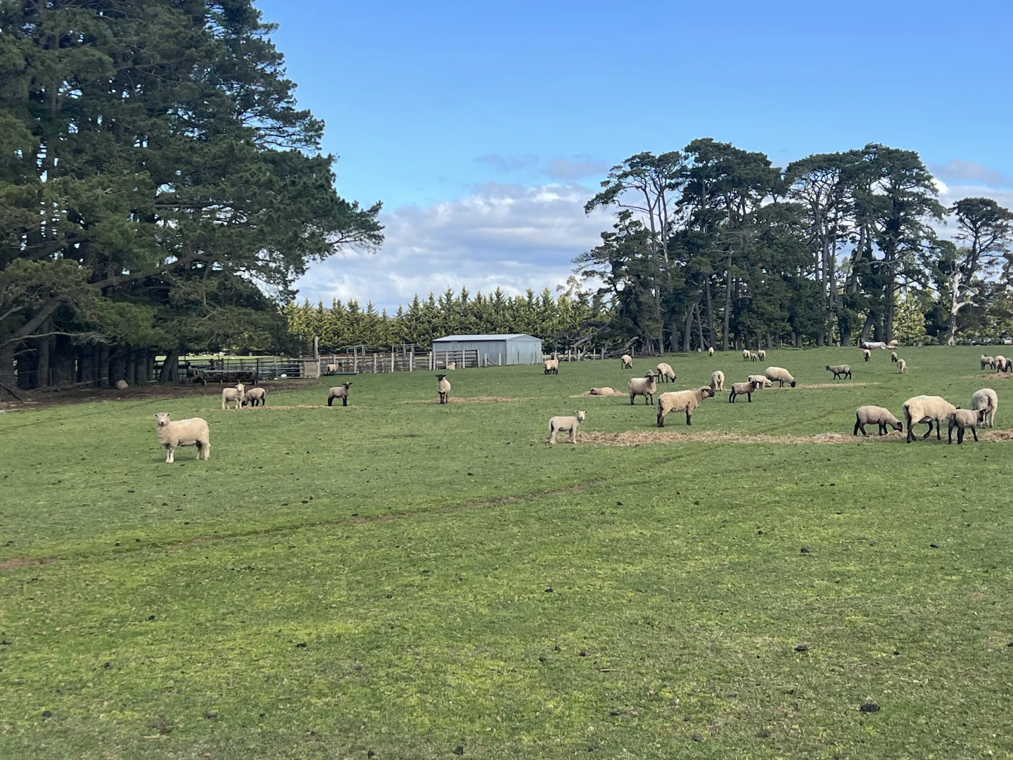 Additional image 2 of Lot 2 Grahams Road, Lancefield VIC 3435