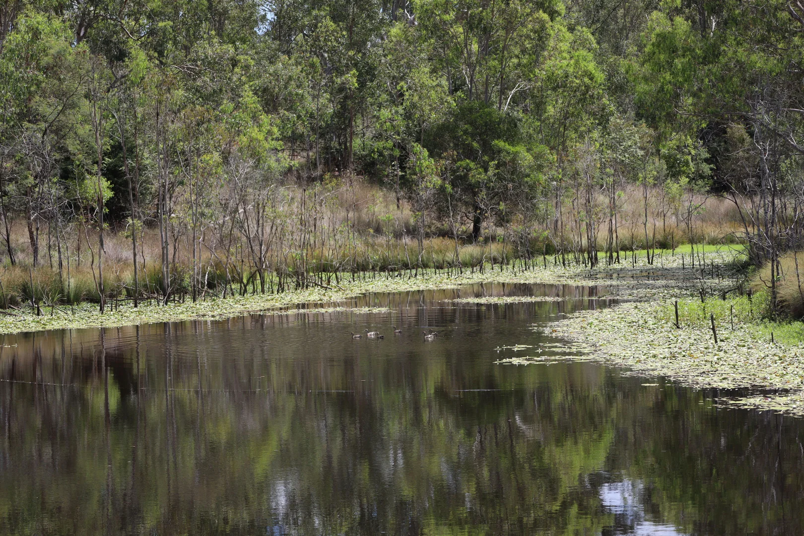 Additional image 3 of 349 Paul Holznagel Road, Murgon QLD 4605