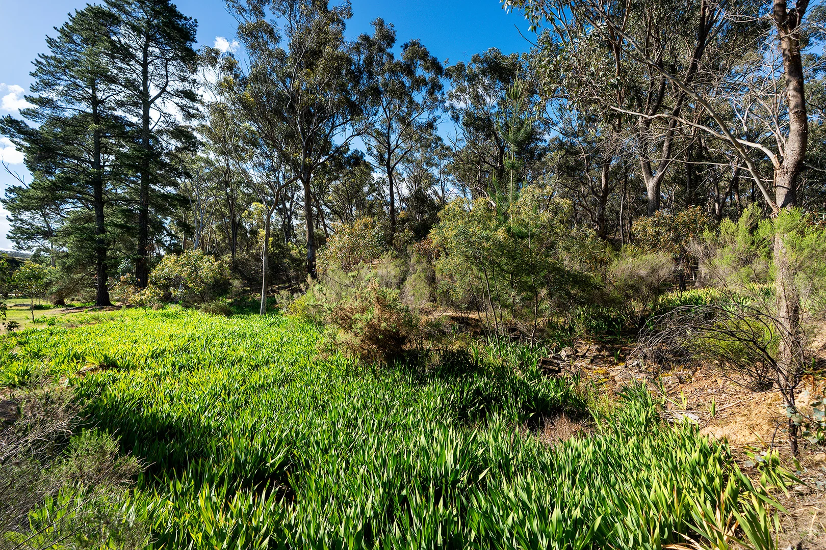 Additional image 13 of 2/222 Blakeley Road, Castlemaine VIC 3450