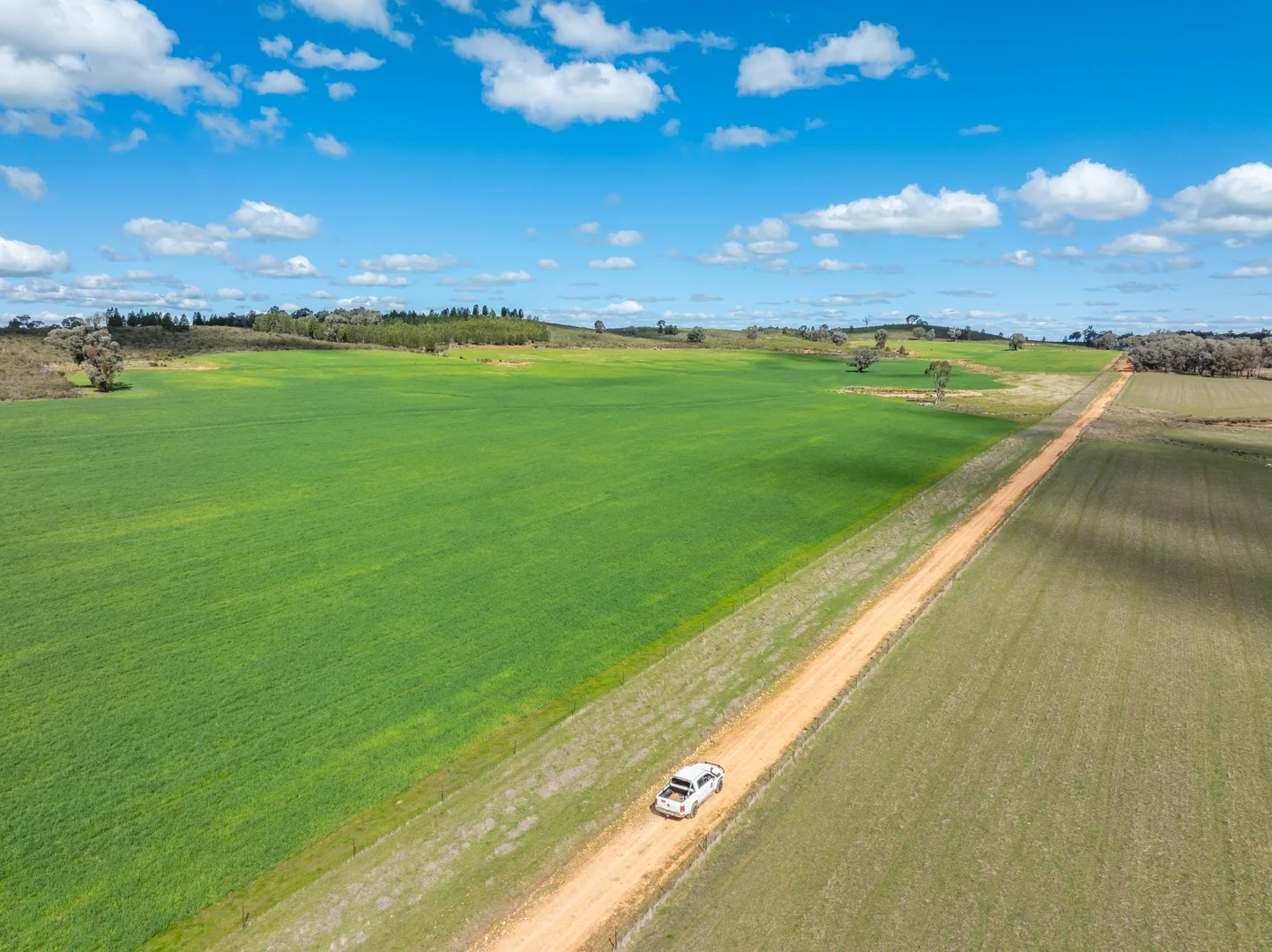 Additional image 33 of 100 Grahams Lane, Grenfell NSW 2810