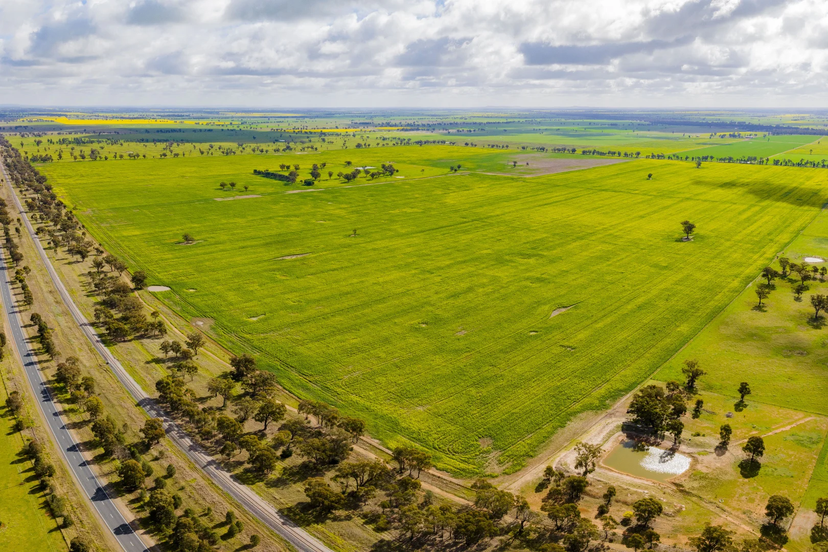 Additional image 7 of Lonsdale Lane, Coolamon NSW 2701