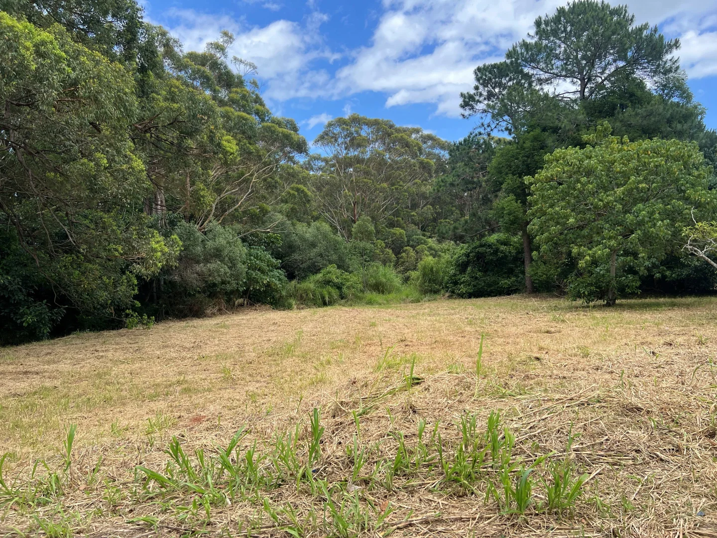 Additional image 4 of 19-29 John St, Russell Island QLD 4184