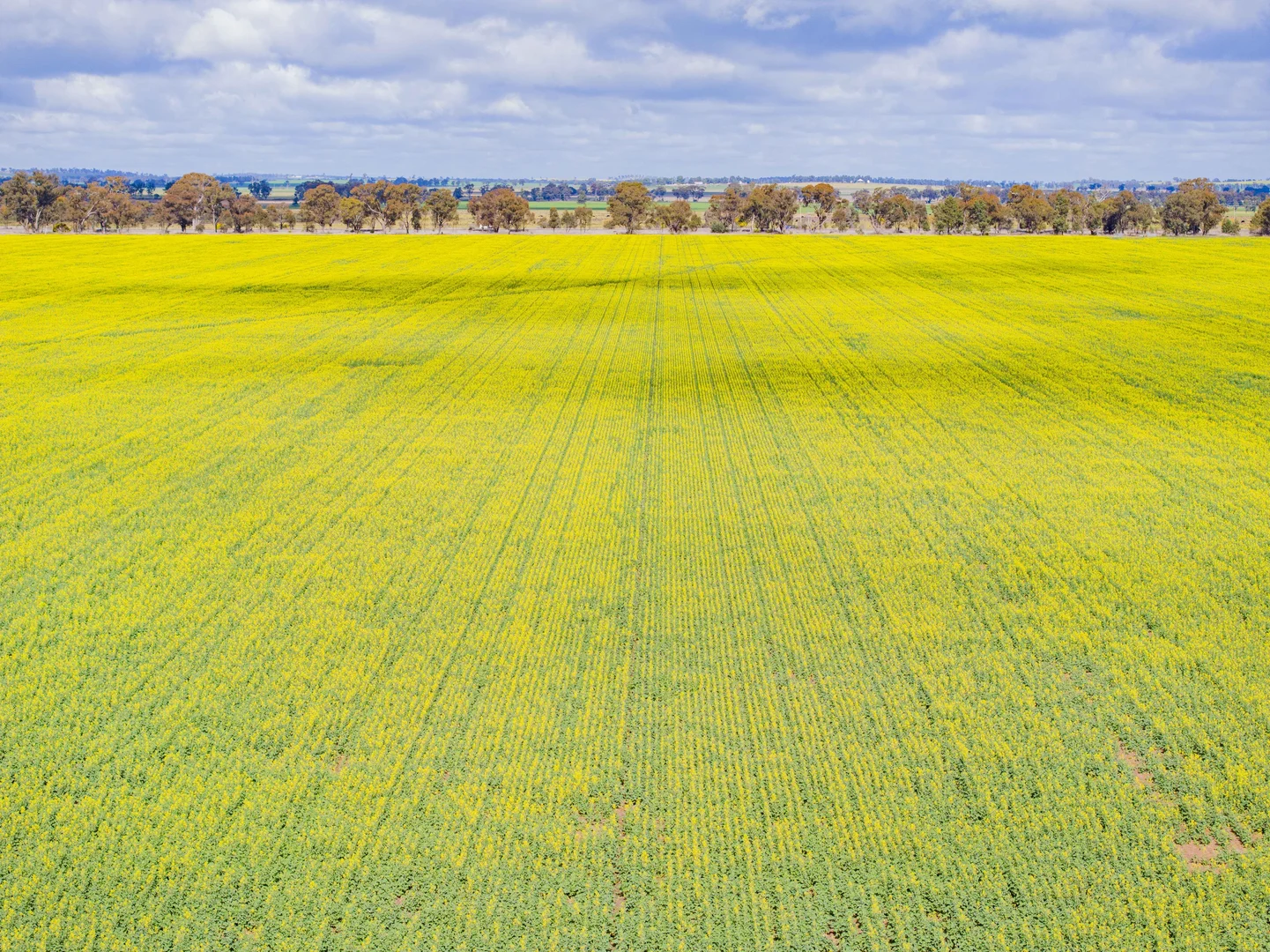 Additional image 2 of Lonsdale Lane, Coolamon NSW 2701
