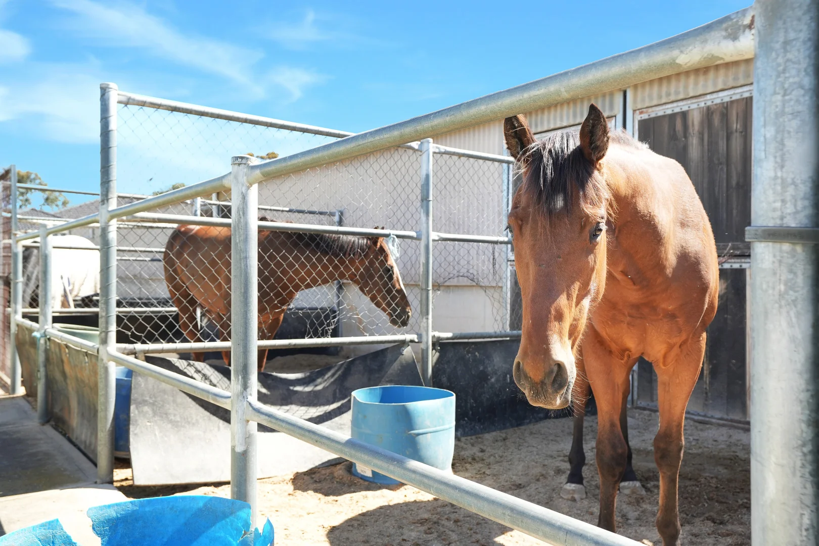 Additional image 27 of 1/51 Barnet Road, Evanston SA 5116