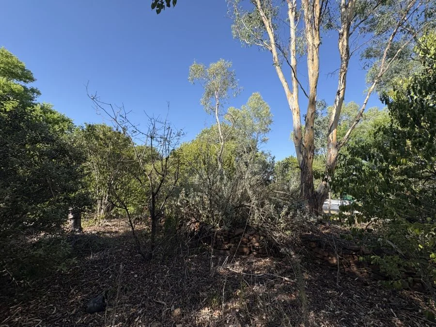 Additional image 11 of 90 Long Street, Warialda NSW 2402