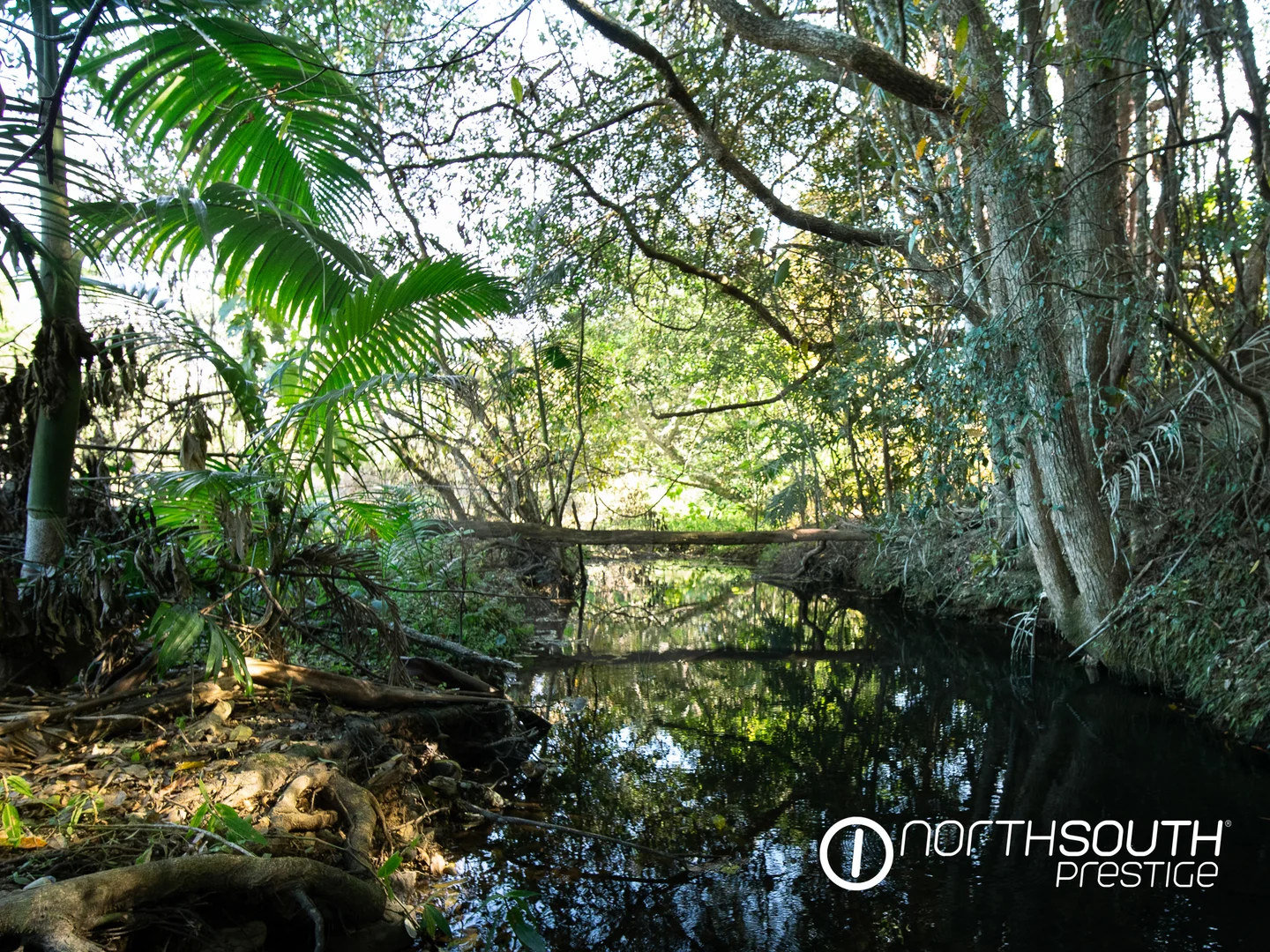 Additional image 9 of 653-681 Nobbys Creek Road, Nobbys Creek NSW 2484