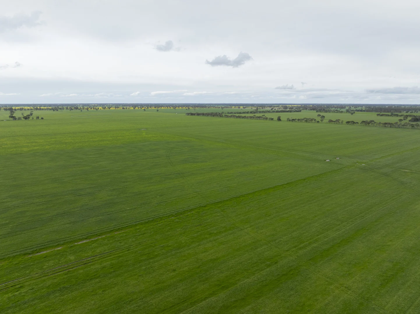 Additional image 6 of 1427 Naracoorte Road, Bordertown SA 5268