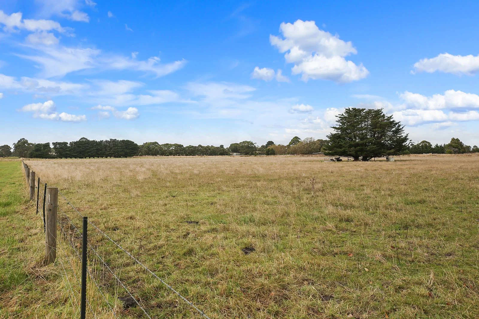 Additional image 4 of 115 Castle Carey Road, Camperdown VIC 3260